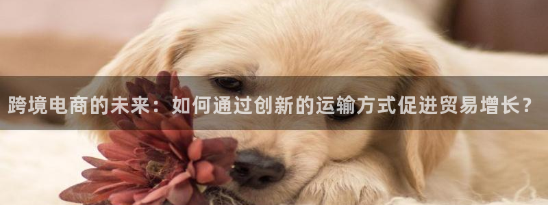 门徒搜狐娱乐