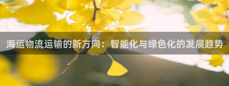 焦点娱乐门徒平台