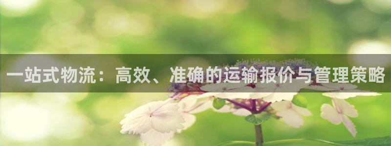 门徒娱乐在线登录观看