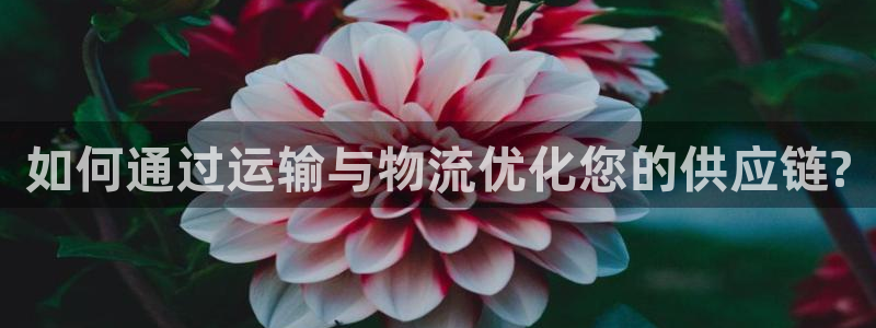 门徒娱乐 - 门徒娱乐注册app平台