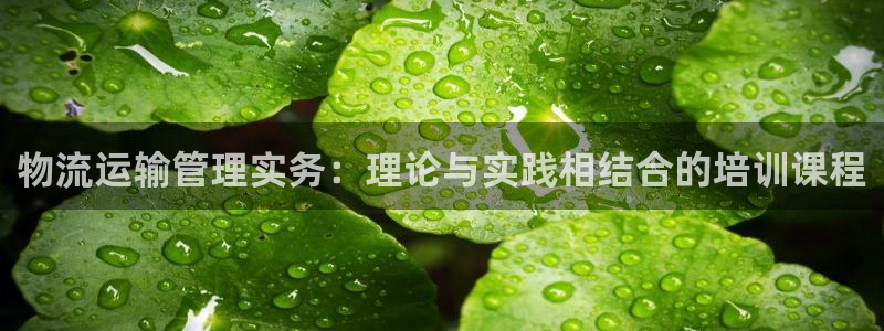 门徒娱乐点最新版本更新内容