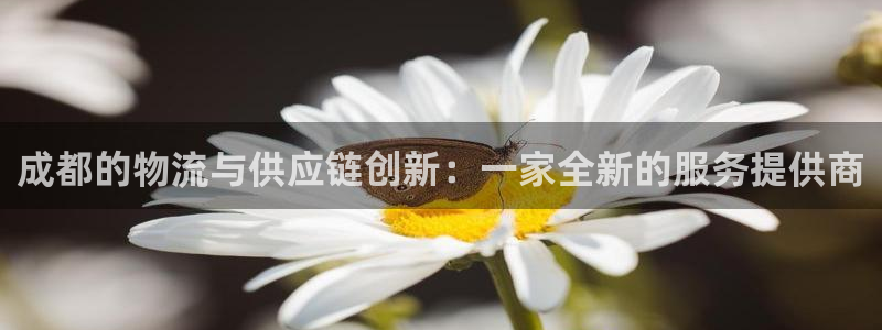 门徒娱乐联盟怎么样了