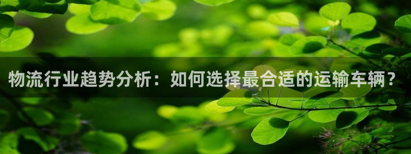 门徒娱乐是干嘛的软件