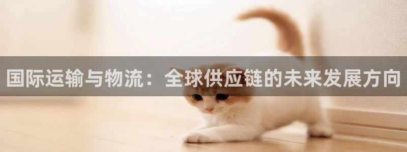 门徒娱乐计划在线观看