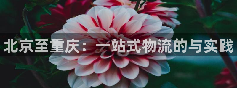 拉菲9门徒娱乐平台
